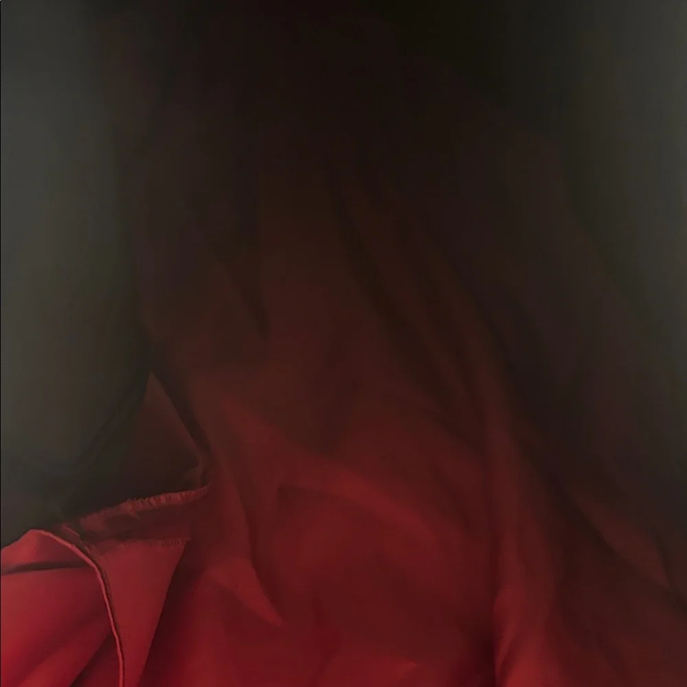 VTG Flores & Flores Black & Red velvet Sleeveless Maxi Dress SZ 14 party NWT - Picture 10 of 13